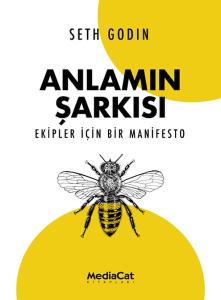 Anlamın Şarkısı Anlamın Şarkısı