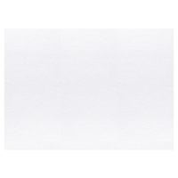 BİGPOİNT 35X50 SULUBOYA KAĞIDI 300 GR BİGPOİNT 35X50 SULUBOYA KAĞIDI 300 GR