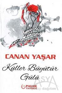  Küller Büyütür Gülü 