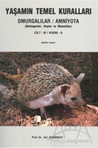  Yaşamın Temel Kuralları Cilt 3 - Kısım 2 