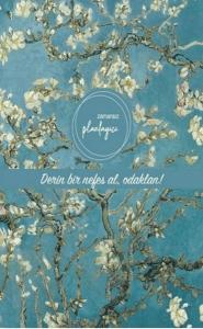 Zamansız Planlayıcı - Derin Bir Nefes Al , Odaklan! (Ciltli) Zamansız Planlayıcı - Derin Bir Nefes Al , Odaklan! (Ciltli)