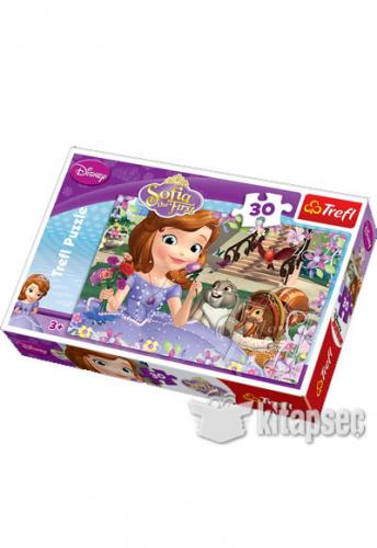 ART PUZZLE 18196 30 PARÇA DİSNEY SOFİA THE FIRST ROSES PUZZLE