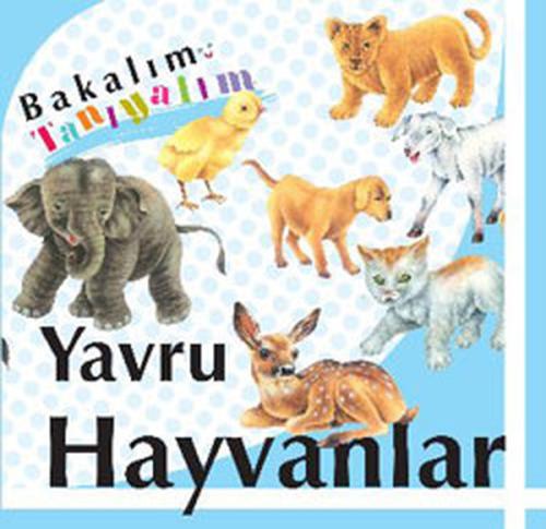 cukurovakitap.com.tr cukurovakitap.com.tr