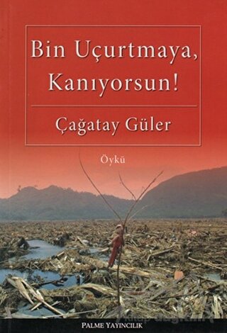 Bin Uçurtmaya, Kanıyorsun!
