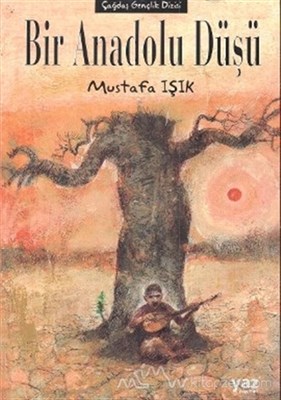 BİR ANADOLU DÜŞÜ