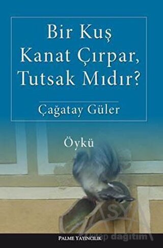 Bir Kuş Kanat Çırpar, Tutsak Mıdır?