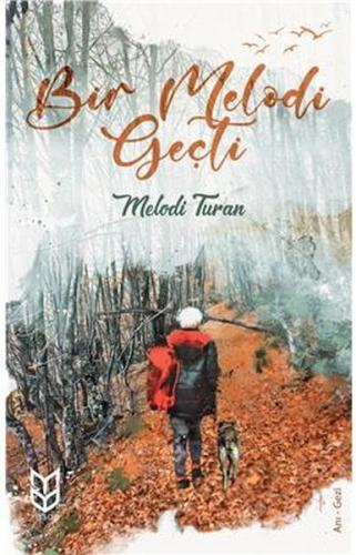 Bir Melodi Geçti Bir Melodi Geçti