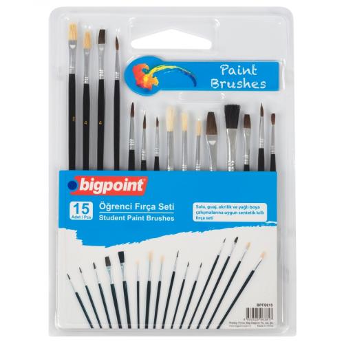 BİGPOİNT 15apos;Lİ FIRÇA SETİ