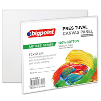 BP PRES TUAL 10x12cm. Artists * (tek ürün gönderilecektir, fotoğraf temsilidir)