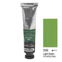 BP YAĞLI BOYA 200ml 509 LIGHT GREEN