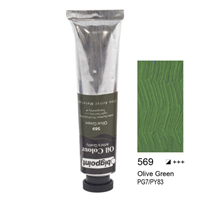 BP YAĞLI BOYA 45ml 569 OLIVE GREEN