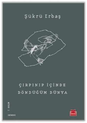 Çırpınıp İçinde Döndüğüm Dünya