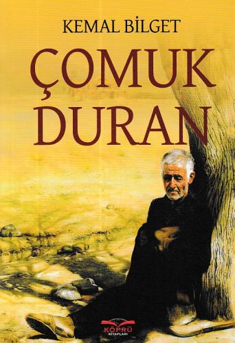 cukurovakitap.com.tr cukurovakitap.com.tr