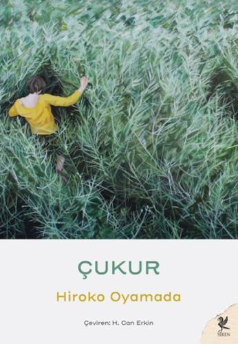 Çukur Çukur