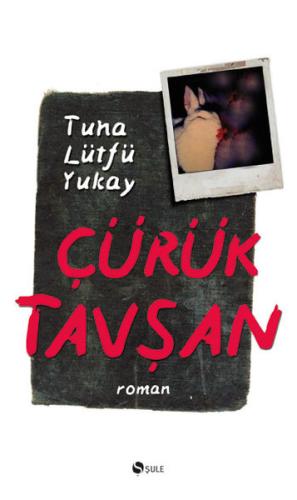 cukurovakitap.com.tr cukurovakitap.com.tr