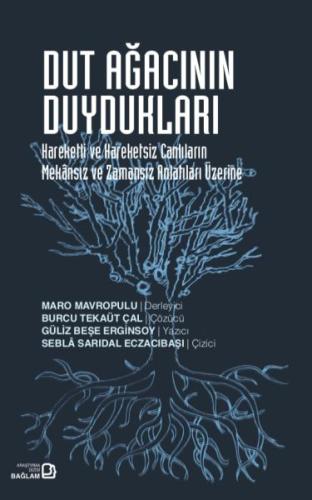 cukurovakitap.com.tr cukurovakitap.com.tr