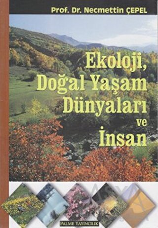 cukurovakitap.com.tr
