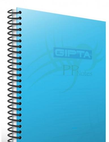 GIPTA EKO A4 60 YAPRAK KARELİ BÜYÜK BOY DEFTER
