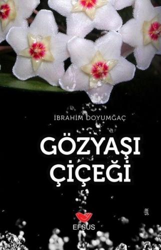 cukurovakitap.com.tr cukurovakitap.com.tr