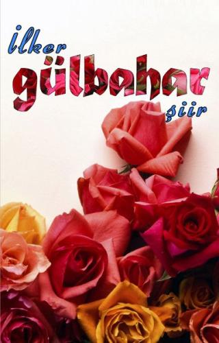 cukurovakitap.com.tr