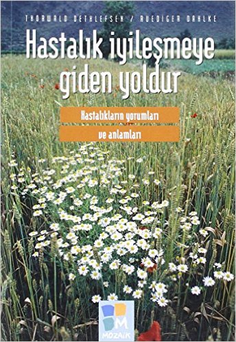 Hastalık İyileşmeye Giden Yoldur Hastalık İyileşmeye Giden Yoldur