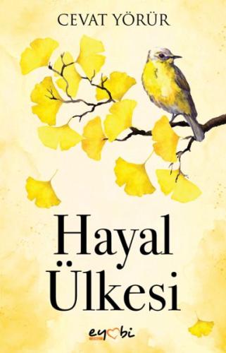 Hayal Ülkesi Hayal Ülkesi