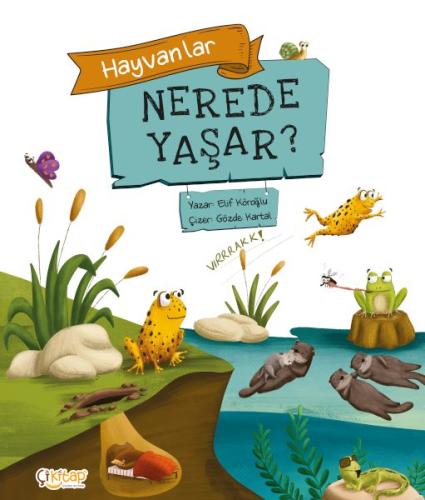 Hayvanlar Nerede Yaşar ? Hayvanlar Nerede Yaşar ?
