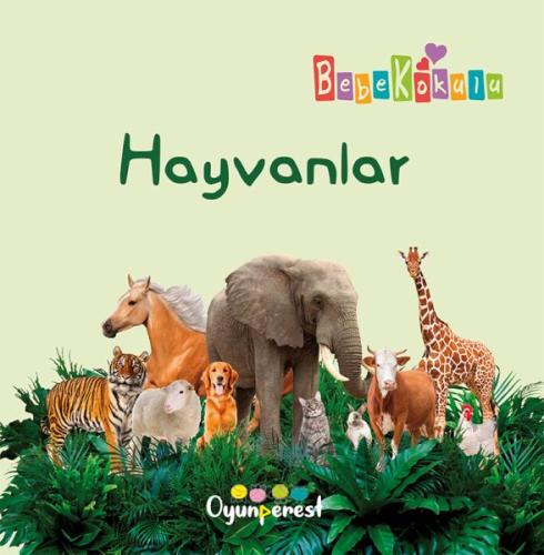 Hayvanlar Hayvanlar