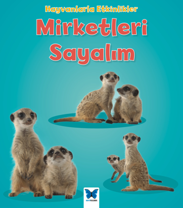 cukurovakitap.com.tr