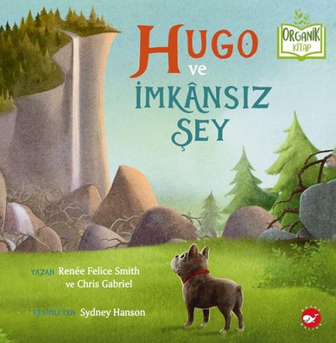 Hugo ve İmkânsız Şey - Organik Kitaplar