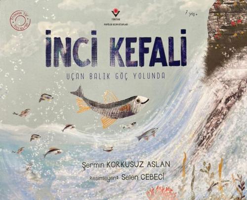 İnci Kefali İnci Kefali
