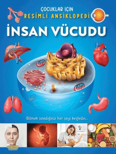 İnsan Vücudu - Çocuklar İçin Resimli Ansiklopedi İnsan Vücudu - Çocuklar İçin Resimli Ansiklopedi