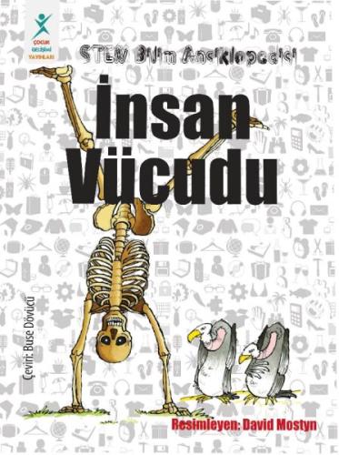 İnsan Vücudu İnsan Vücudu