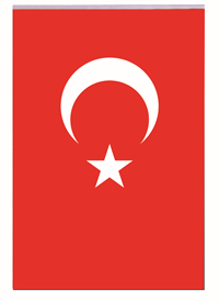 VATAN İPLİ KAĞIT BAYRAK