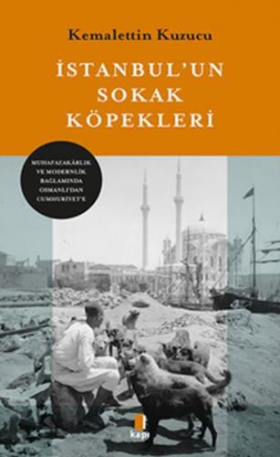 İstanbul'un Sokak Köpekleri