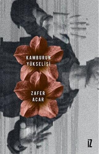 Kamburun Yükselişi