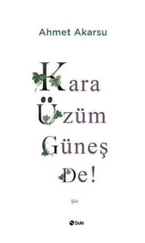 Kara Üzüm Güneş De