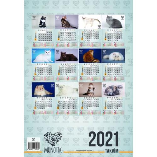 Kedili Aylık Spiralli Duvar Takvimi 2021 Kedili Aylık Spiralli Duvar Takvimi 2021