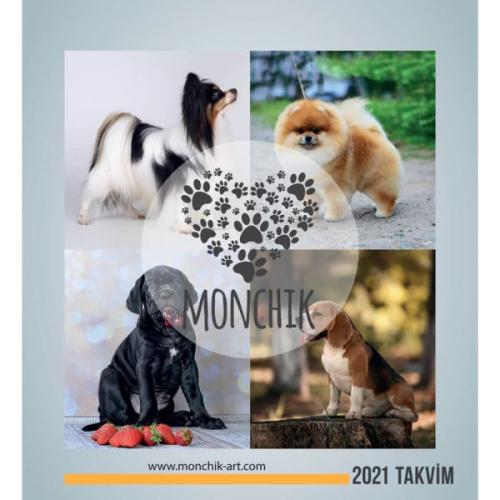 Köpekli Üçgen Masa Takvimi 2021 Köpekli Üçgen Masa Takvimi 2021