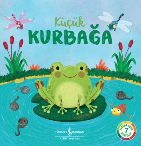 Küçük Kurbağa – Doğanın Eşsiz Hikayeleri 7