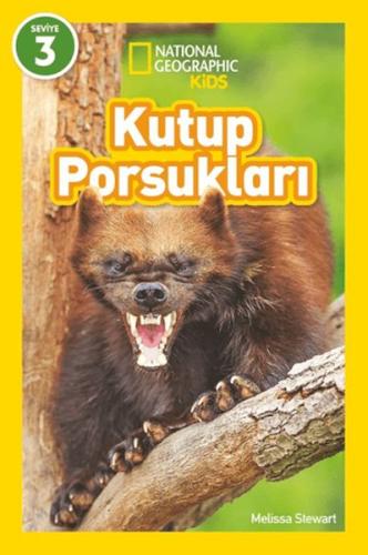 Kutup Porsukları - National Geographic Kids