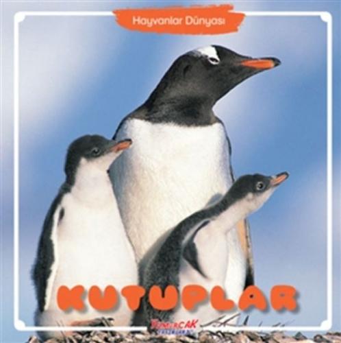 Kutuplar - Hayvanlar Dünyası Kutuplar - Hayvanlar Dünyası
