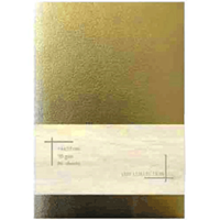 LİZ 10X13,5 METALİK AYNA KP.DEFTER 96 YAPRAK IVORY ----