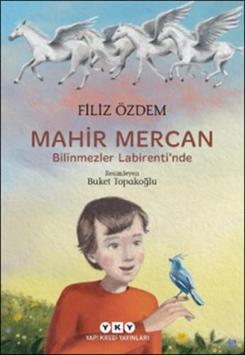 Mahir Mercan - Bilinmezler Labirenti'nde