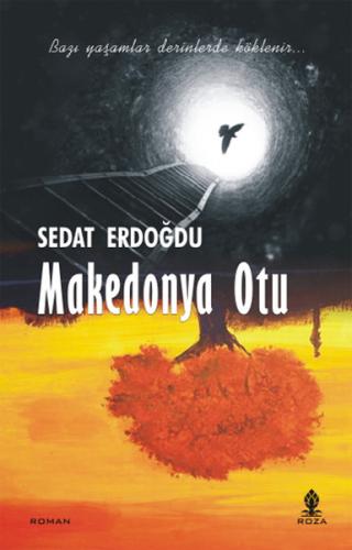 cukurovakitap.com.tr cukurovakitap.com.tr