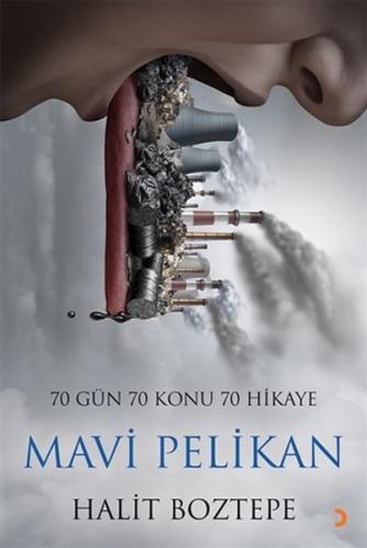Mavi Pelikan Mavi Pelikan