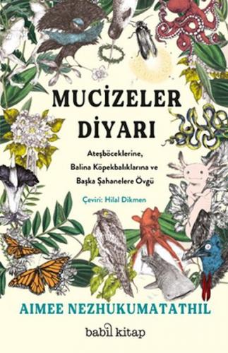 Mucizeler Diyarı