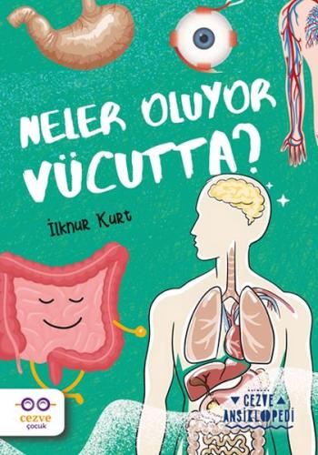 Neler Oluyor Vücutta ? – Cezve Ansiklopedi Neler Oluyor Vücutta ? – Cezve Ansiklopedi