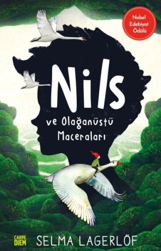 Nils ve Olağanüstü Maceraları Nils ve Olağanüstü Maceraları