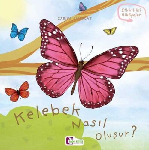 Kelebek nasıl oluşur? Kelebek nasıl oluşur?